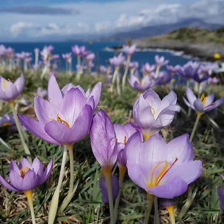 Hotel Ducale Cirella